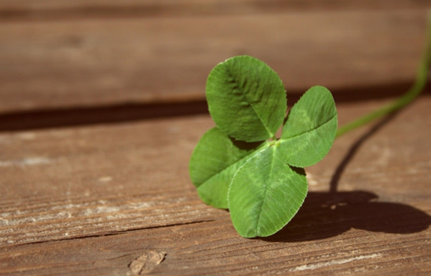 交通事故を依頼する弁護士の探し方はこれ!紹介?ネット? 1 point5 w625